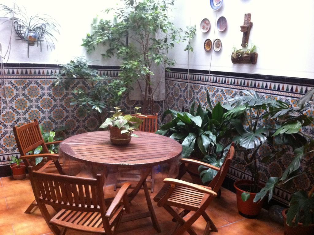 Hostal Senero Mérida Exteriér fotografie